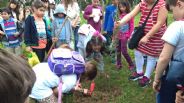 Planting our trees